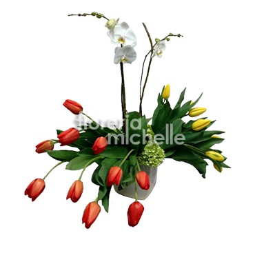 20 Tulipanes, 1 Vara Orquidea Phalenopsis