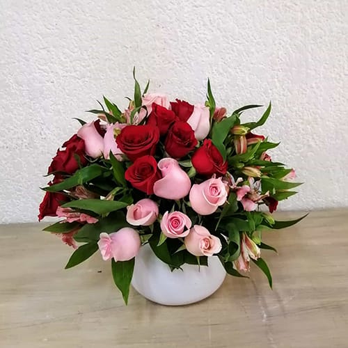 36 Rosas y astromería