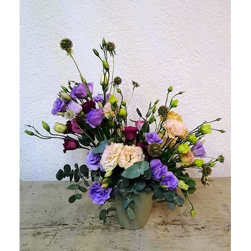 Licianthus