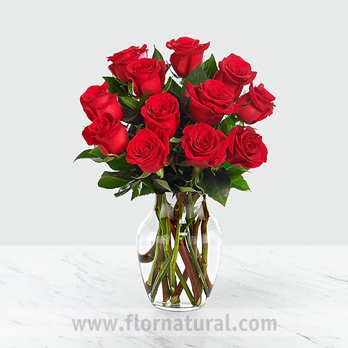 FLORERO CON 12 ROSAS ROJAS