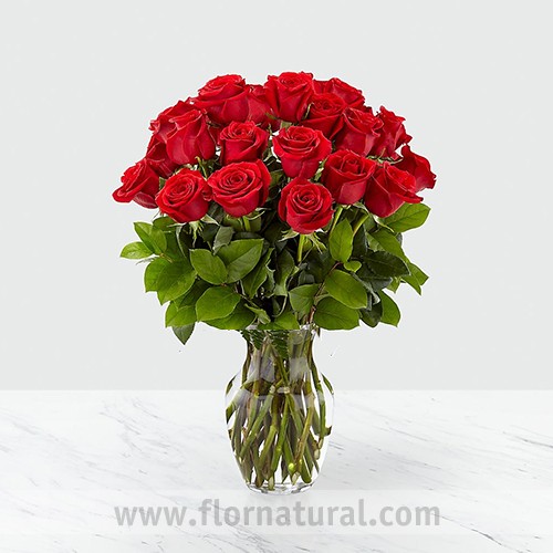 FLORERO CON 24 ROSAS ROJAS