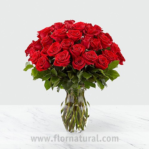 FLORERO CON 36 ROSAS ROJAS