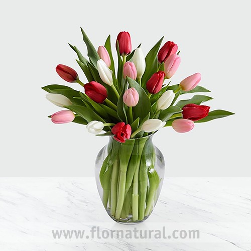 Florero con 20 Tulipanes