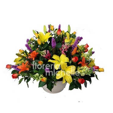 Caricia Floral