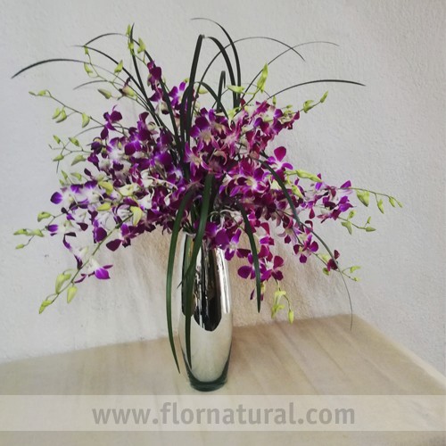 Espejismo de Orquideas
